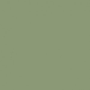 RAL 6021 Vert pâle Lisse mat / granité mat