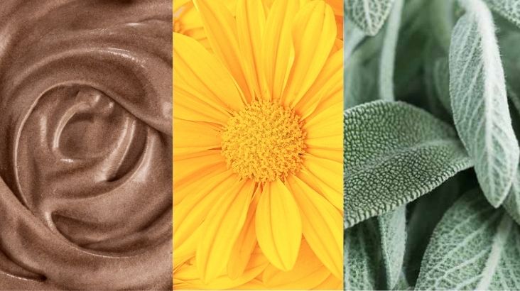 Les couleurs à la mode en 2025 pour vos fenêtres et votre porte d’entrée !