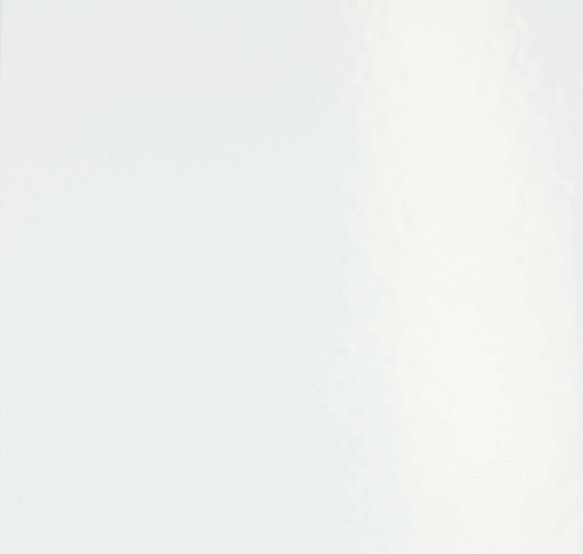 Carré de couleur nuance Blanc pur Lisse mat ou granité mat RAL 9010