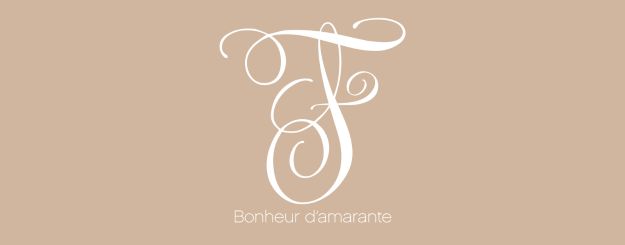 Logo Bonheur d'Amarante fenêtres et portes à Chambost
