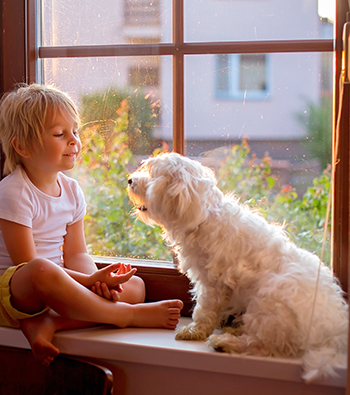 Enfant avec un chien devant une fenêtre avec des petits bois