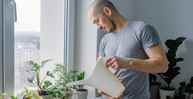 Homme détendu qui arrose ses plantes devant sa fenêtre, réduire son empreinte carbone en isolant mieux son logement
