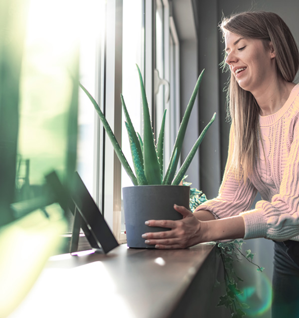 Rénovation Tapprest Frères menuiseries fenêtres et portes dans l'aube près de Troyes
